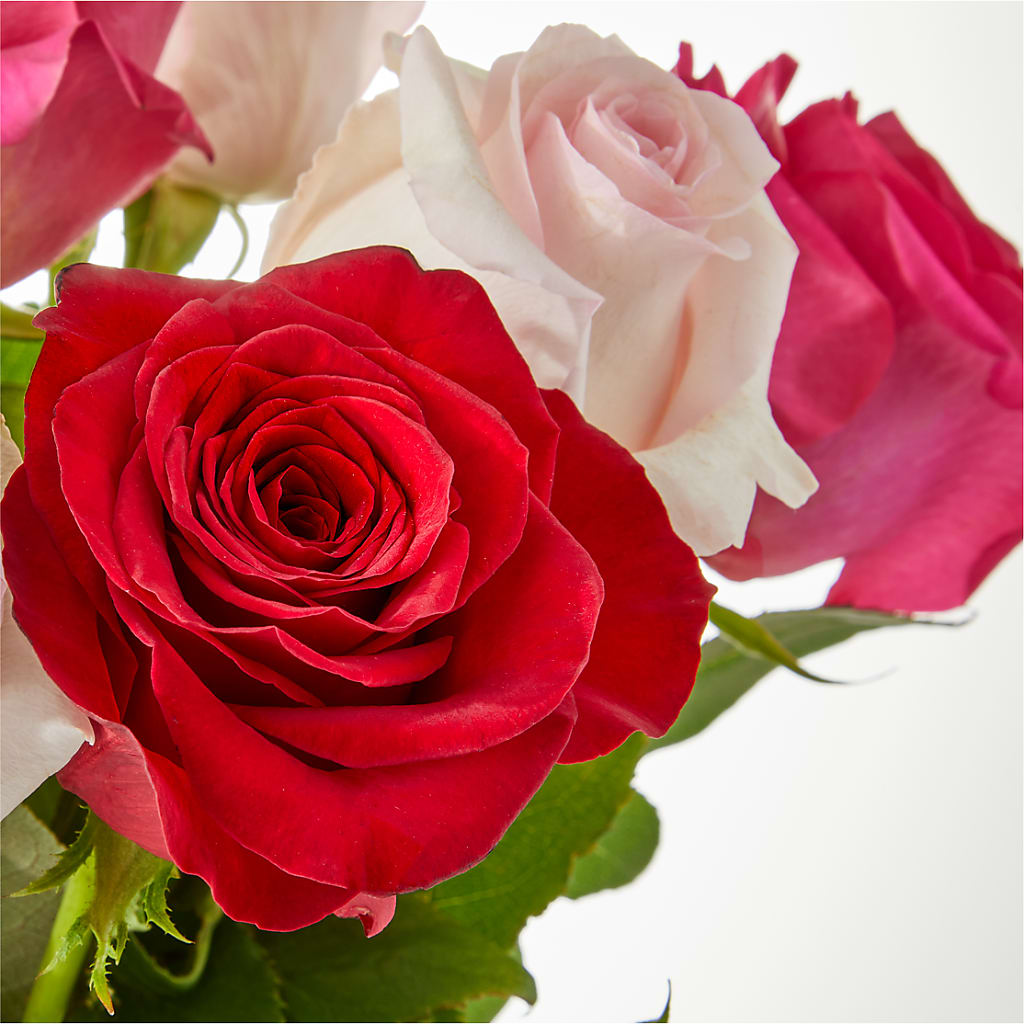 Charming Rose Bouquet –  Flowersusa.net, Tontitown AR