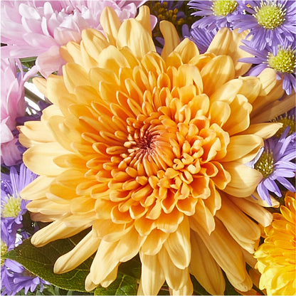 Countryside Bouquet –  Flowersusa.net, Tontitown AR