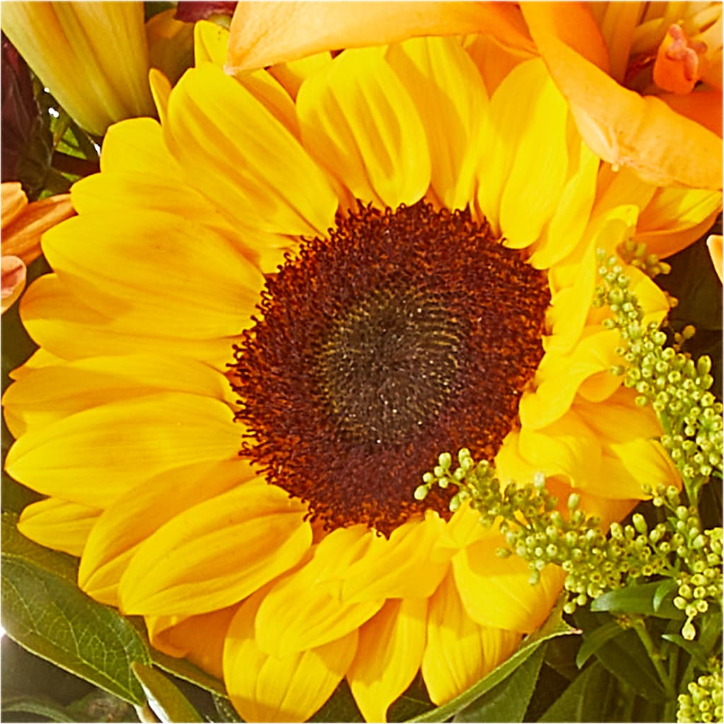 Seasons Change Bouquet –  Flowersusa.net, Tontitown AR