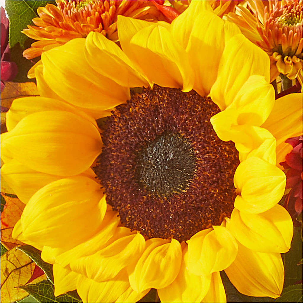 Sunny Side Bouquet –  Flowersusa.net, Tontitown AR