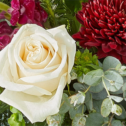 Cranberry Fizz Bouquet –  Flowersusa.net, Tontitown AR