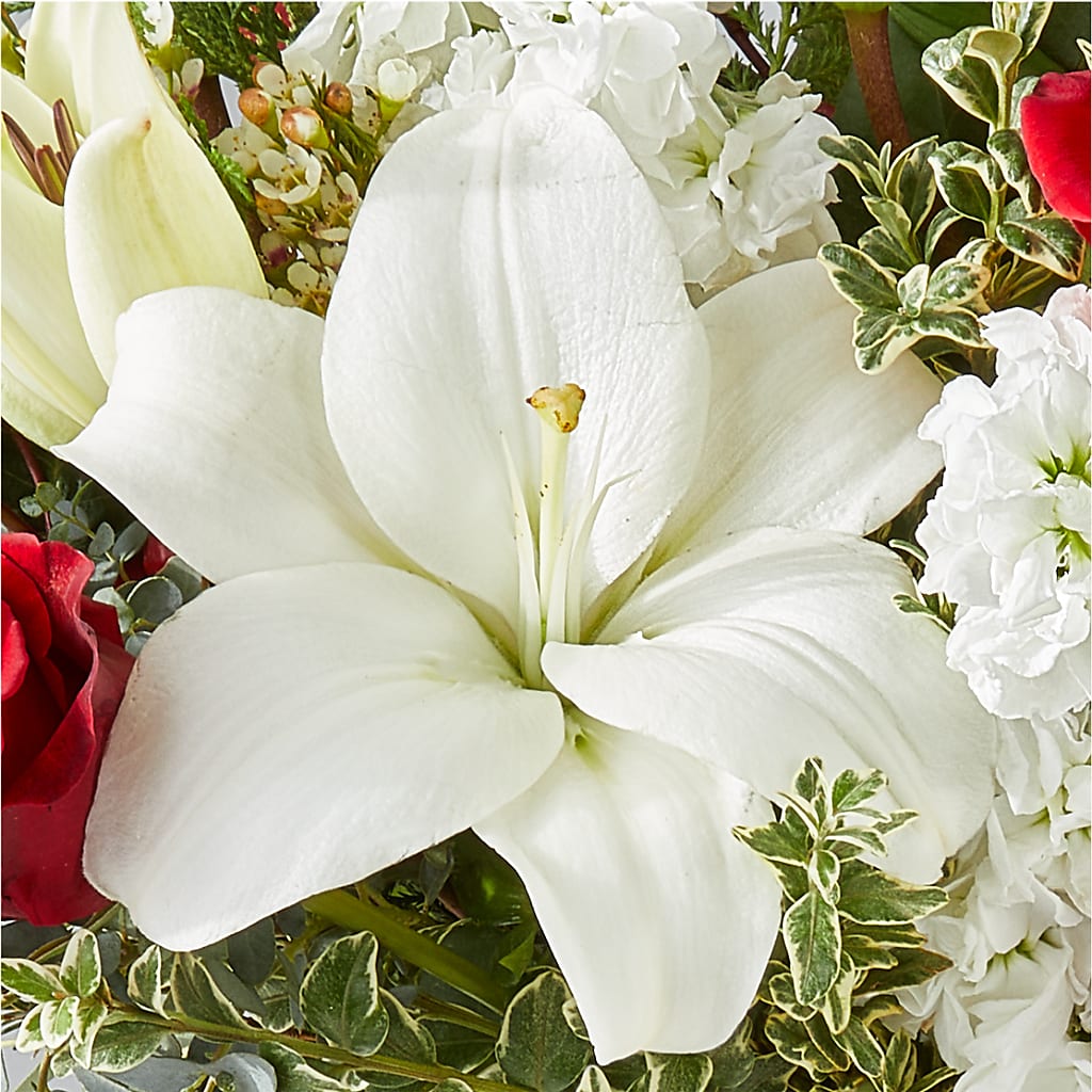 Twinkle Lights Bouquet –  Flowersusa.net, Tontitown AR