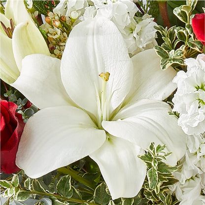 Twinkle Lights Bouquet –  Flowersusa.net, Tontitown AR