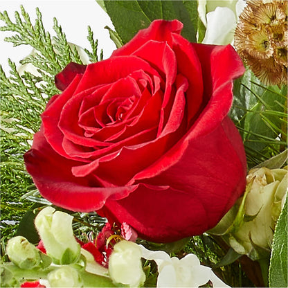 Deck the Halls Bouquet –  Flowersusa.net, Tontitown AR