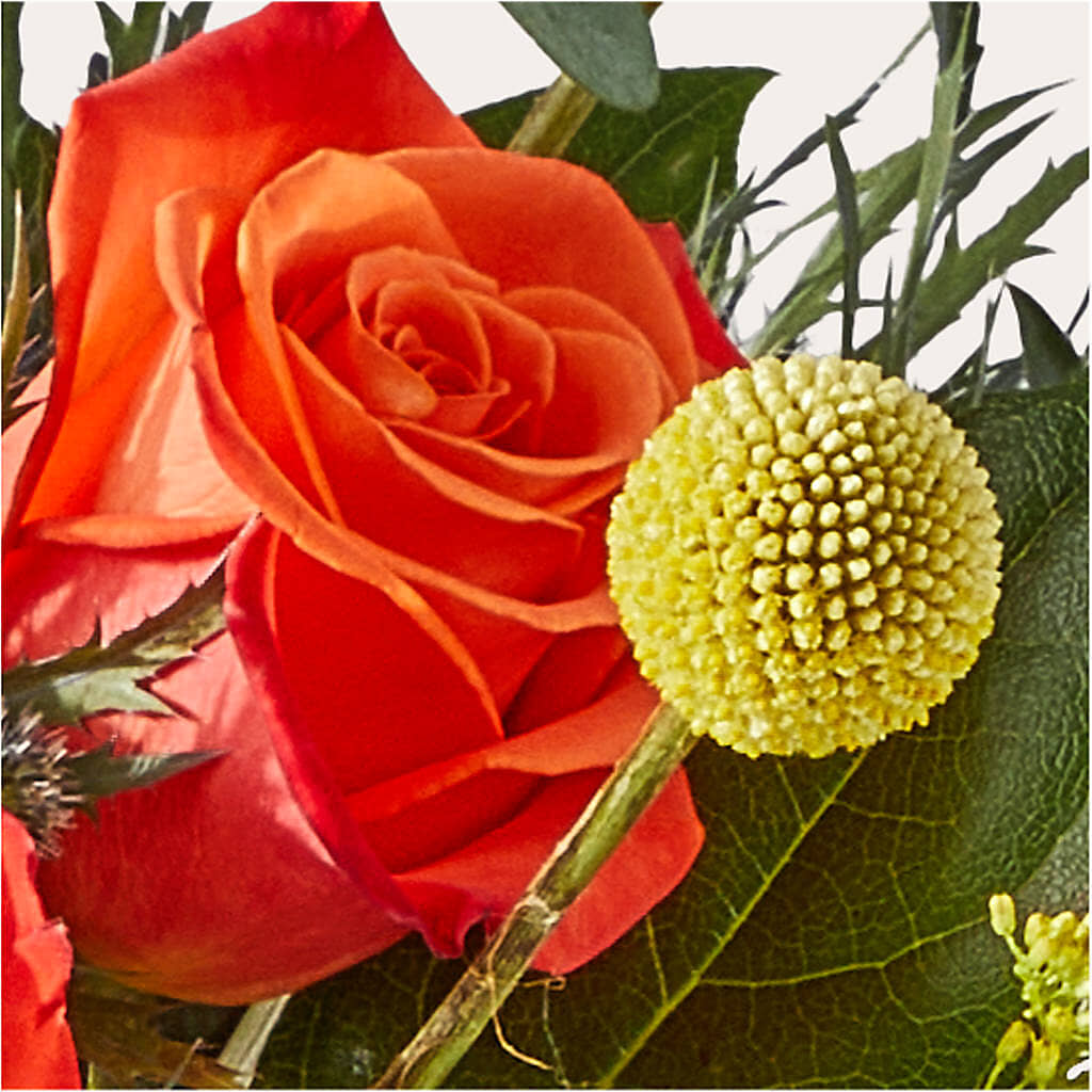 Disco Bouquet –  Flowersusa.net, Tontitown AR