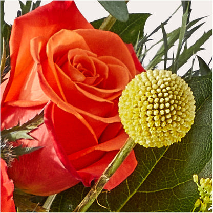 Disco Bouquet –  Flowersusa.net, Tontitown AR