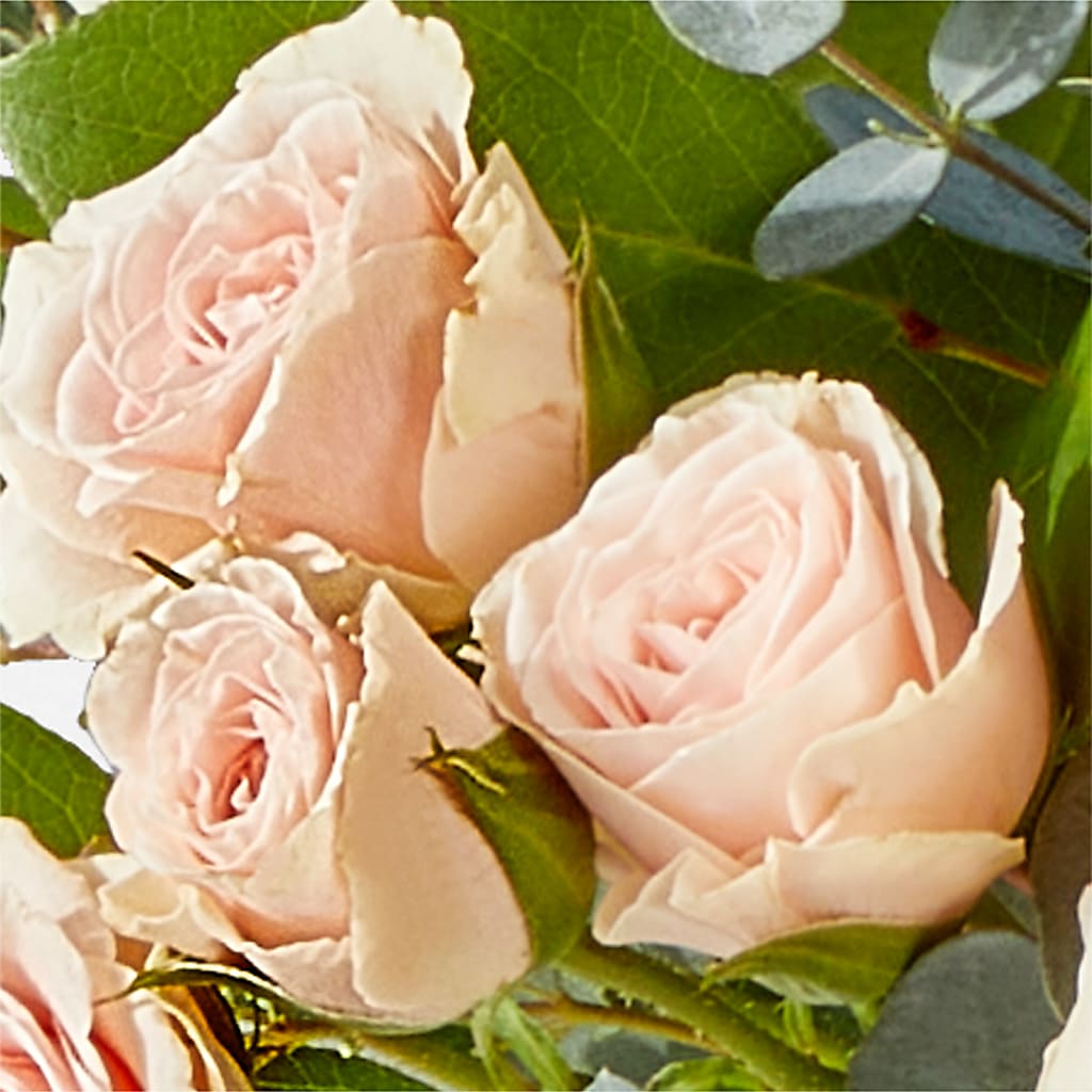 Inspired Bouquet –  Flowersusa.net, Tontitown AR