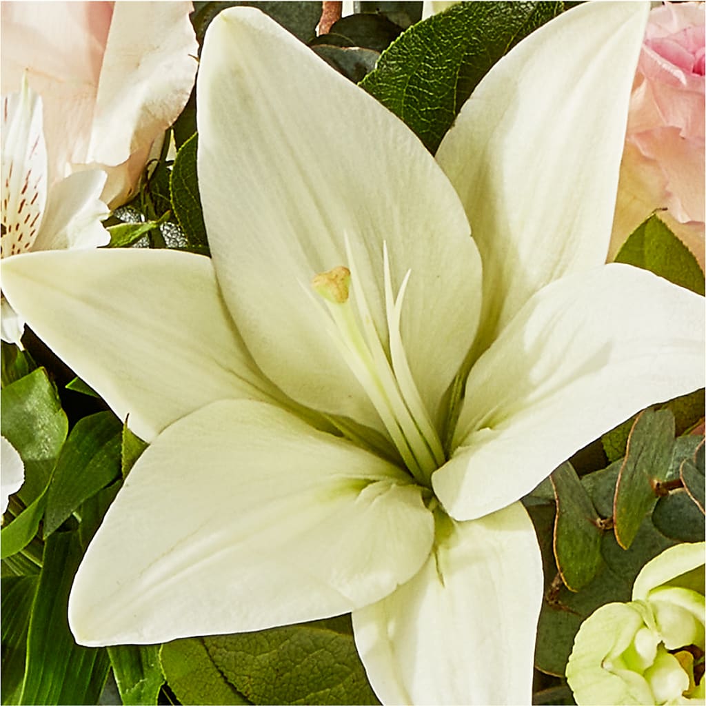 Ballet Slippers Bouquet –  Flowersusa.net, Tontitown AR