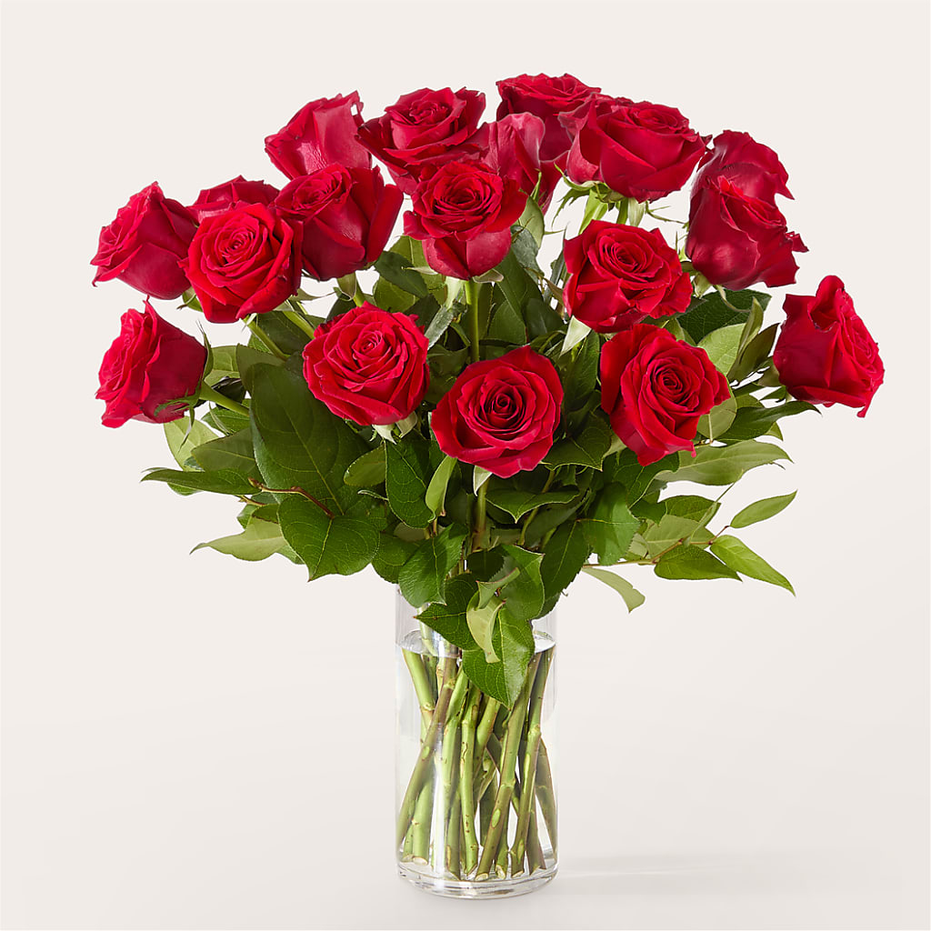 The One Red Rose Bouquet –  Flowersusa.net, Tontitown AR