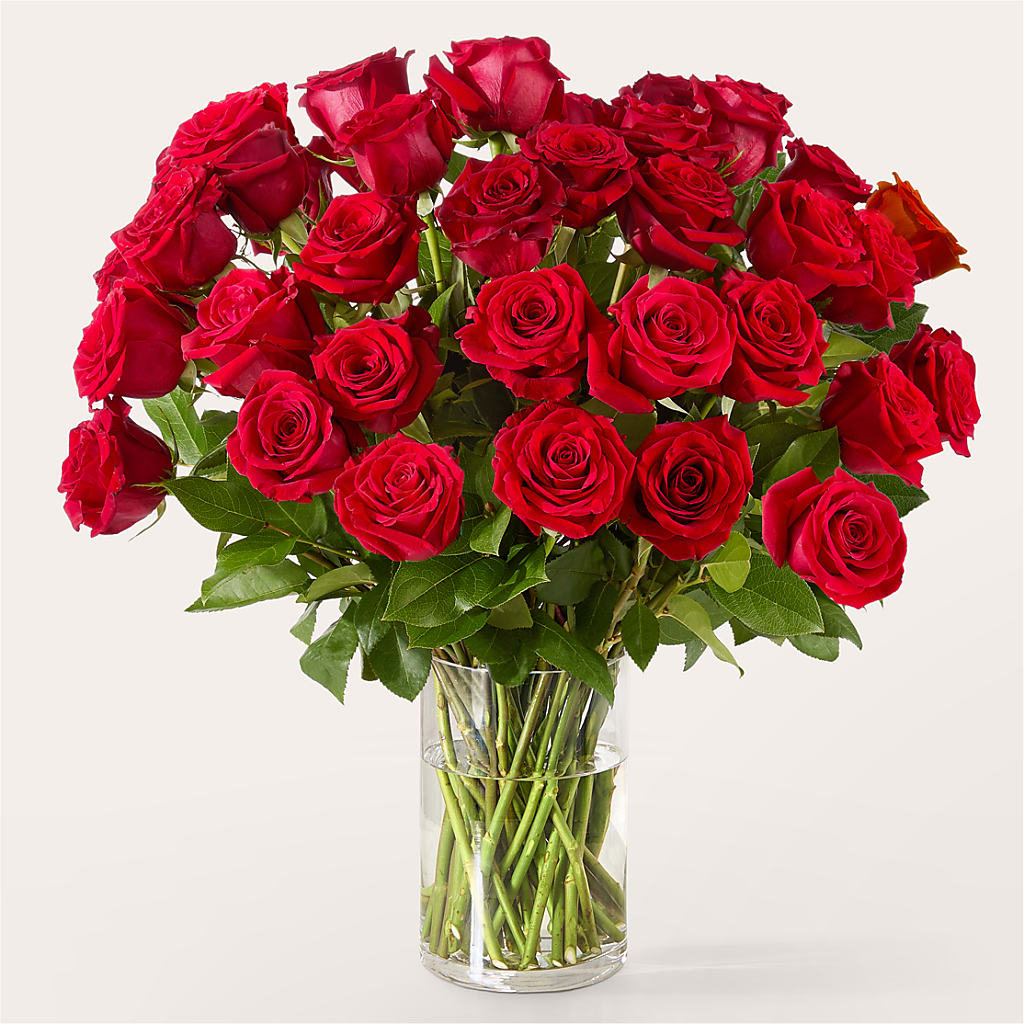 The One Red Rose Bouquet –  Flowersusa.net, Tontitown AR