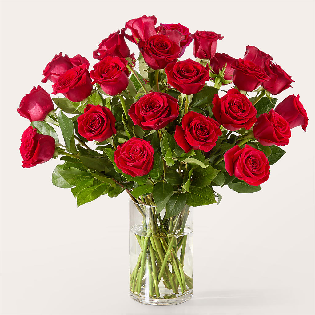 The One Red Rose Bouquet –  Flowersusa.net, Tontitown AR
