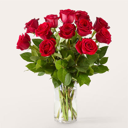 The One Red Rose Bouquet –  Flowersusa.net, Tontitown AR