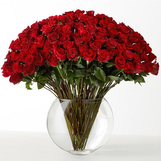 The Idealist –  Flowersusa.net, Tontitown AR